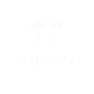 THE SETAI (1)